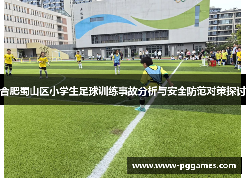 合肥蜀山区小学生足球训练事故分析与安全防范对策探讨