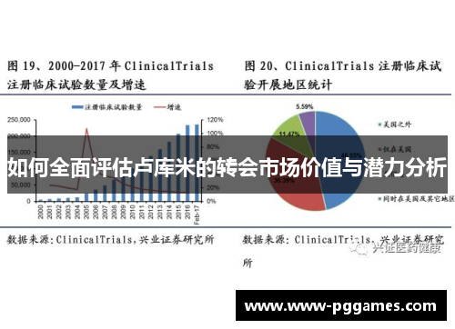 如何全面评估卢库米的转会市场价值与潜力分析